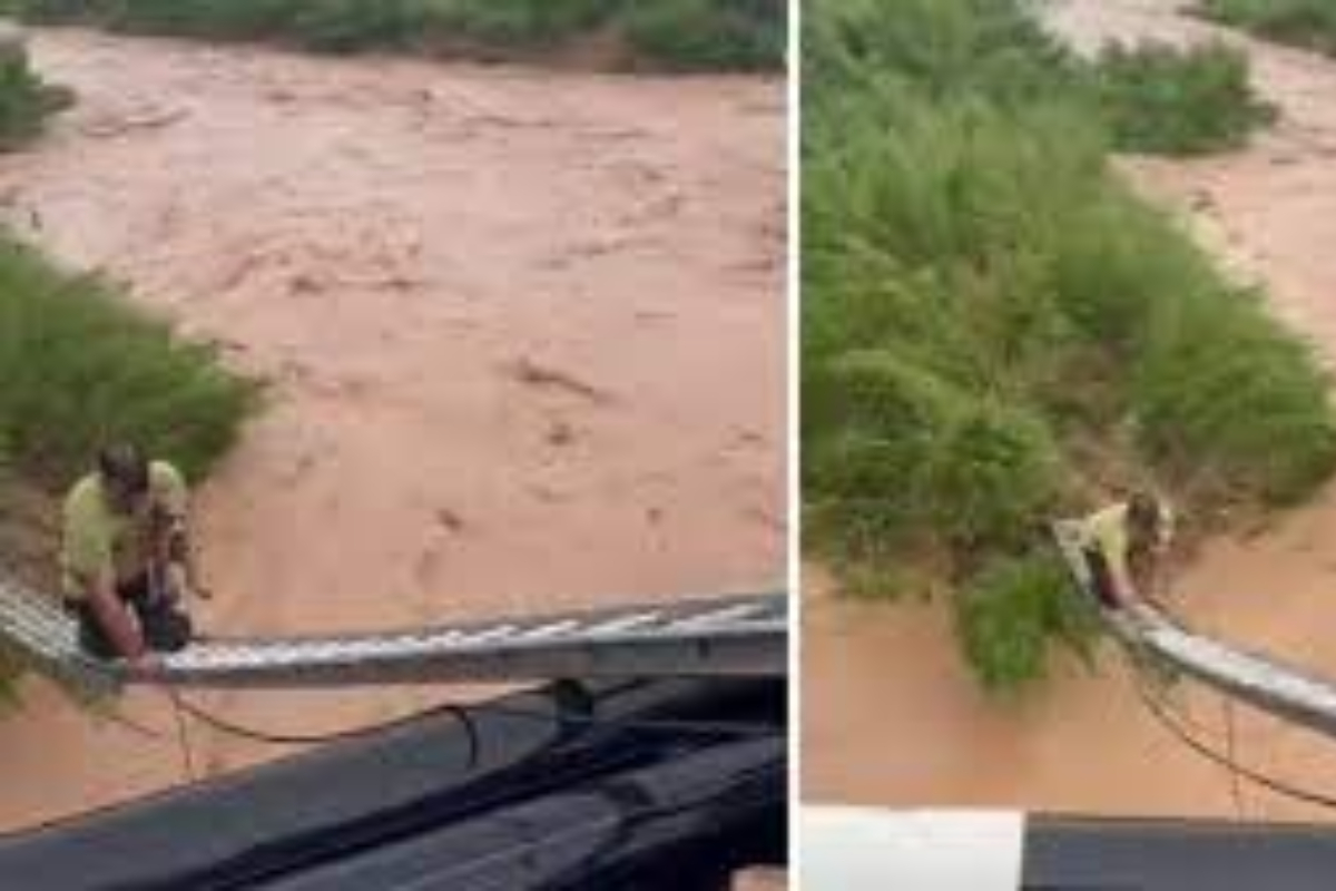 Man's heroic rescue of dog from raging waters goes viral