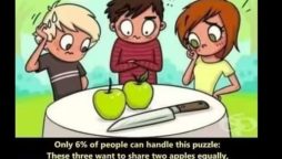 Brain Teaser: Can You Slice Two Apples into Three Equal Parts?