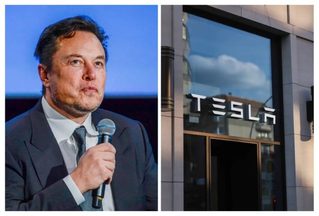 Elon Musk reportedly used Tesla funds to build his own glass house