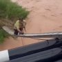 Watch: Man’s Heroic Rescue of Puppy Trapped Under Bridge Goes Viral