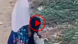 Viral Video Reveals Black Magic Rituals in India: Disturbing Act of Buried Objects