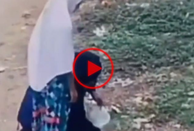 Viral Video Reveals Black Magic Rituals in India: Disturbing Act of Buried Objects