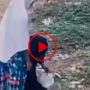 Viral Video Reveals Black Magic Rituals in India: Disturbing Act of Buried Objects