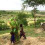 Biosaline agriculture workshop aims to empower Thar farmers