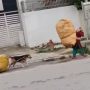 Dog video goes viral, but some people are calling it animal abuse