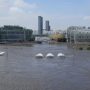 Floods & landslides claim 7 lives as South Korea battered by severe rains