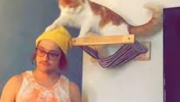 Man’s Brilliant Prank on Hat-Stealing Cat Goes Viral