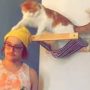 Man’s Brilliant Prank on Hat-Stealing Cat Goes Viral