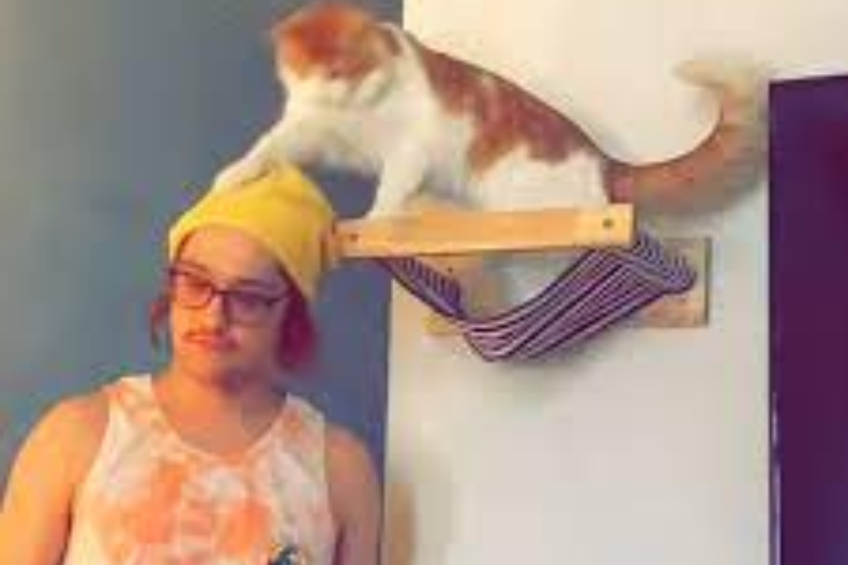 Man's Brilliant Prank on Hat-Stealing Cat Goes Viral