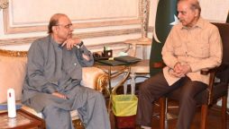 Asif Zardari, PM agree to hold elections on time