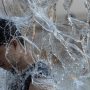 Extreme Heat and Torrential Rain Hit Japan, Prompting Warnings