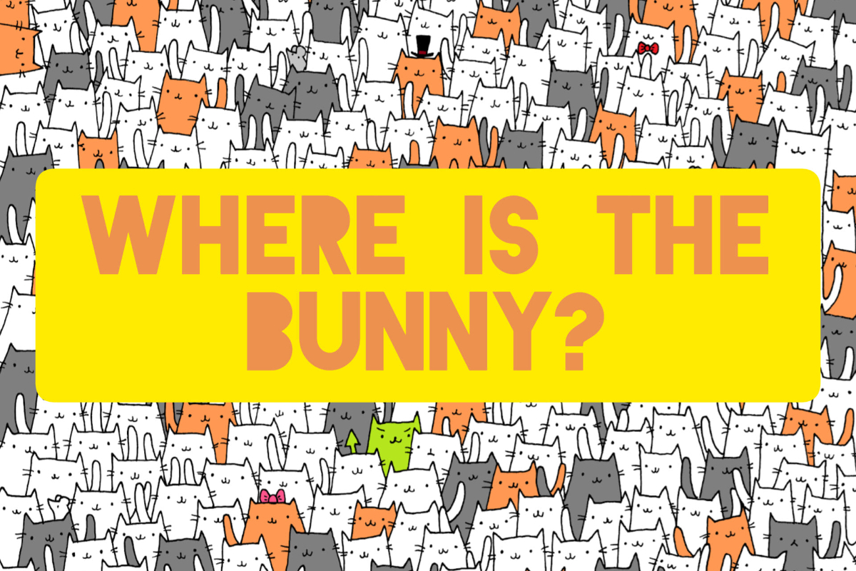 Brain Teaser: Can you spot the white rabbit in the sea of cats?