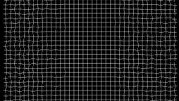 Perplexing Optical Illusion: The Healing Grid