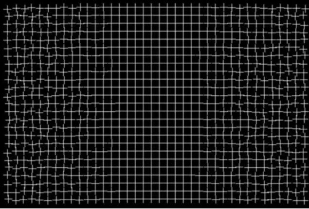 Perplexing Optical Illusion