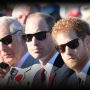 Prince Harry asks Prince William to consider serving King Charles