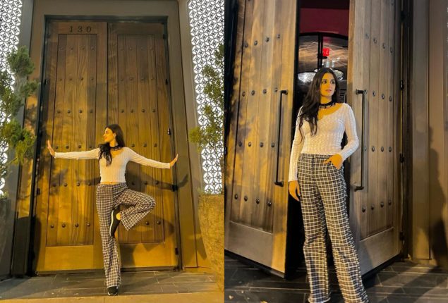 Hira Mani Sizzles In Body-Hugging Shirt And Plaid Pants