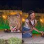 Lion and Woman Eat From Same Plate, Video Goes Viral