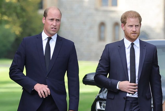 Prince Harry won’t meet Prince William during his last visit to US