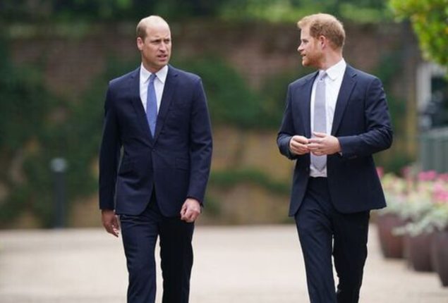 Prince Harry calls Prince William to arrange his return to UK