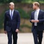Prince Harry calls Prince William to arrange his return to UK