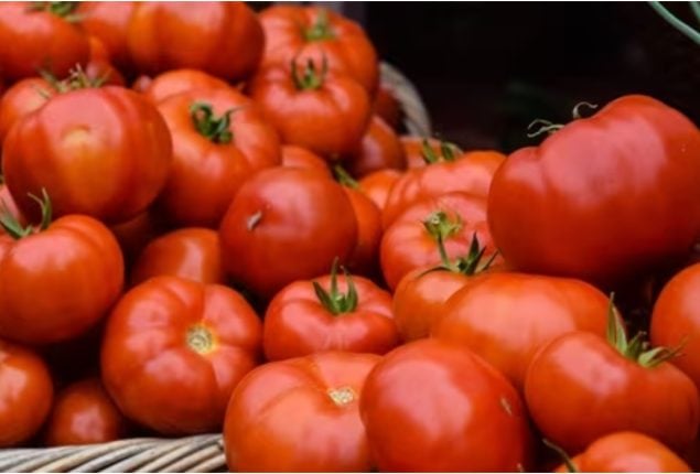 Dubai-based daughter brings 10 kg tomatoes as gift for mom