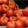 Dubai-based daughter brings 10 kg tomatoes as gift for mom