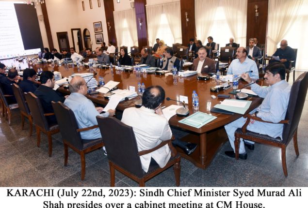 Sindh cabinet approves Immunization Act  