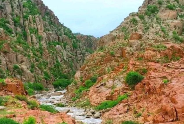 Sindh’s proposed auction of Karoonjhar mountains widely opposed