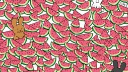 Can You Find the 5 Seedless Watermelons for the Bunnies?