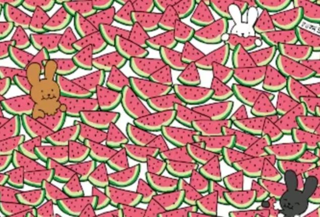 Can You Find the 5 Seedless Watermelons for the Bunnies?