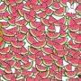 Can You Find the 5 Seedless Watermelons for the Bunnies?