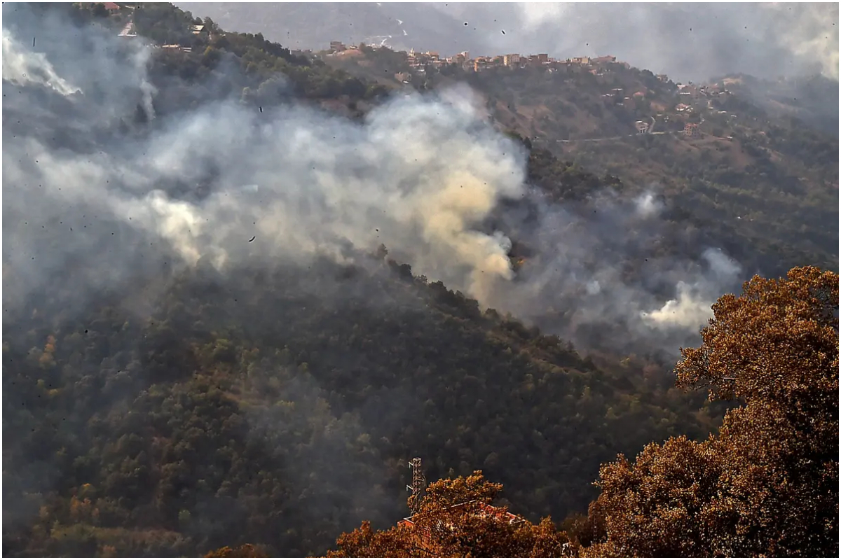 Algeria Wildfires