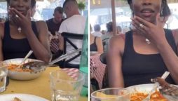 Woman's Pasta Plate Becomes Bird's Next Meal