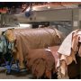 Pakistan Leather Exports Witness 7% Decline in FY23, But There’s Hope Ahead