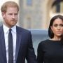 Meghan Markle, Prince Harry not heading for divorce: Royal expert