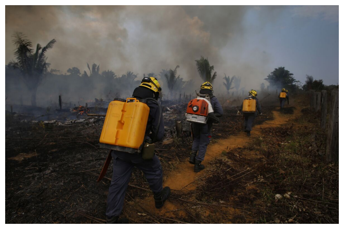 Mediterranean Wildfires