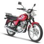 Suzuki GS 150 latest price in Pakistan July 2023