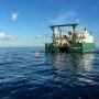 Scientists concerned about an impending global catastrophe at sea
