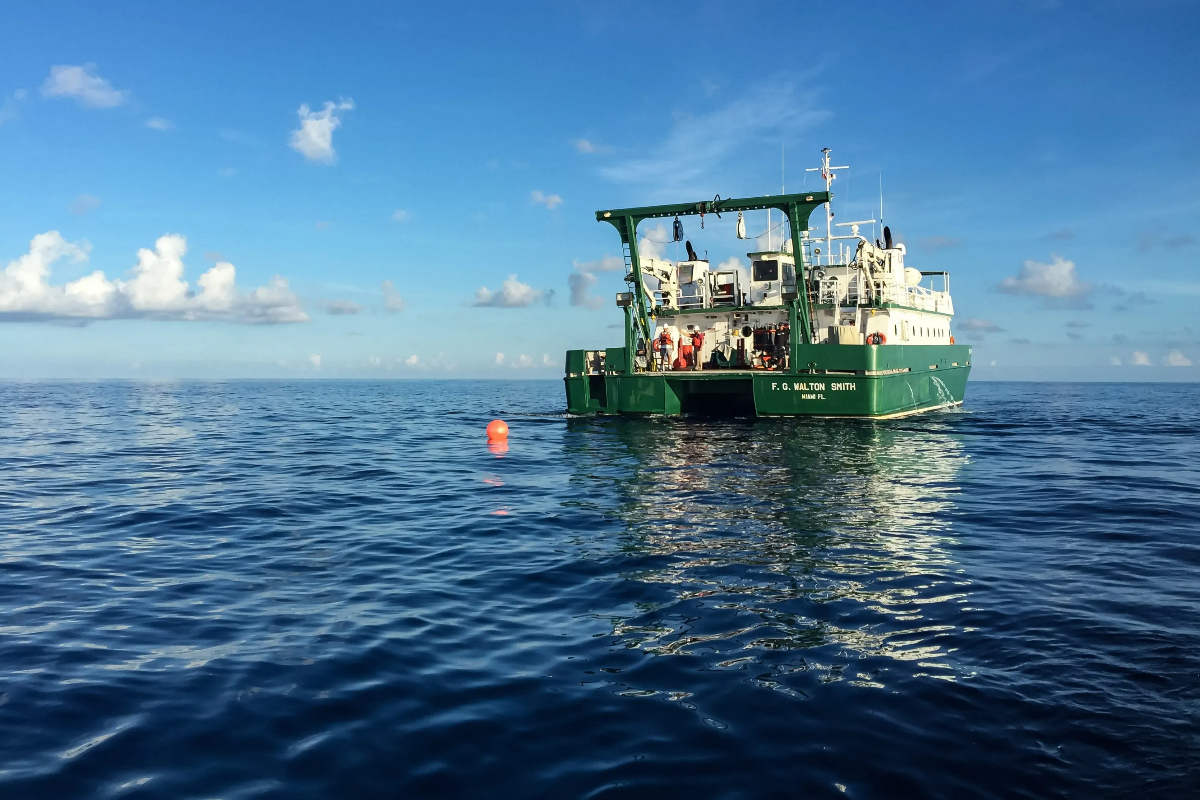 Global catastrophe at sea