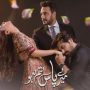 Pakistani Sensation ‘Mere Paas Tum Ho’ To Air In India This August