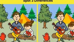 Can You Spot the 3 Differences in These Camping Pictures?