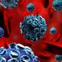 Hepatitis is global health challenge: PMA