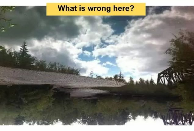Brain Teaser: What’s Wrong with This Picture? You’ll Never Guess!