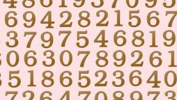 Brain Teaser: Can You Find the Number 81 in This Image