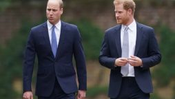 Truth Behind Prince Harry’s Reconciliation Gesture To Prince William