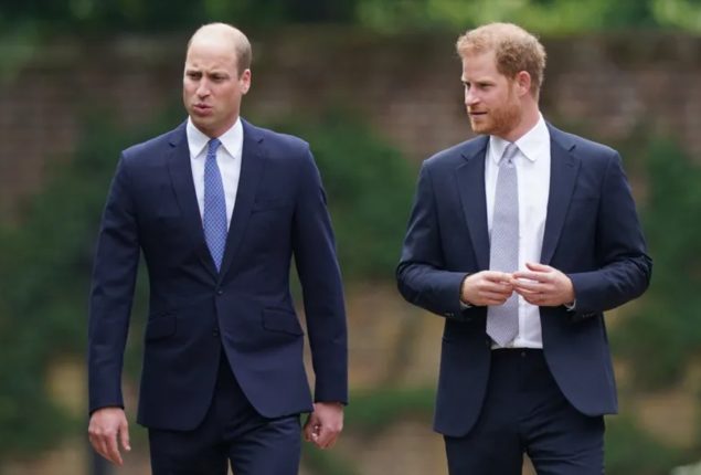 Truth Behind Prince Harry’s Reconciliation Gesture To Prince William