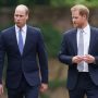 Truth Behind Prince Harry’s Reconciliation Gesture To Prince William