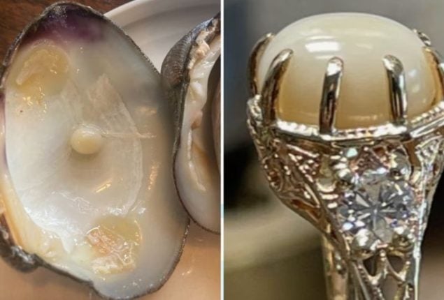 US Lucky couple finds rare pearl in clam, uses it to propose