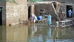 Punjab Rain Update