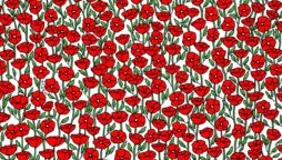 Brain Teaser: Can you find the crab in the poppy field?